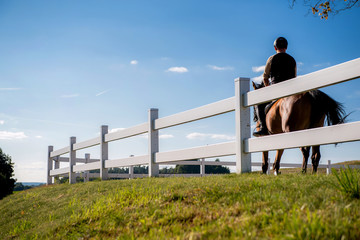 Obraz premium Horse rider training in white paddock on the sky background
