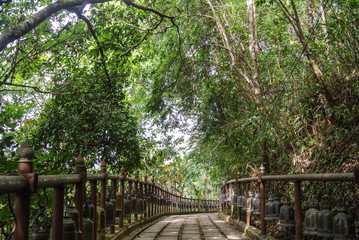 Walking trails within the national park Chiang Rai province North of Thailand.