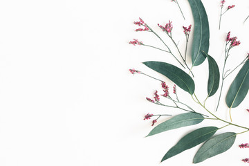 Flowers composition. Eucalyptus leaves and pink flowers on white background. Flat lay, top view,...