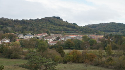 Fototapeta premium nature