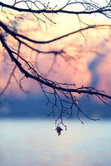 последний лист