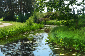 Landschaft 658