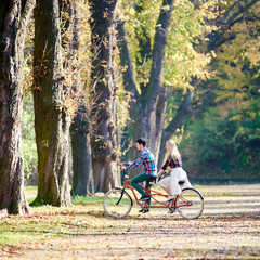 Plakat Side view of young romantic couple, man and blond woman cycling tandem bicycle along park or forest alley with tall trees lit by bright sun and covered with golden leaves in autumn