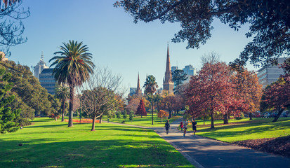 Long shot of St Patrick's Cathedral from Fitzroy Gardens - obrazy, fototapety, plakaty