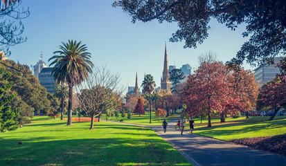 Long shot of St Patrick's Cathedral from Fitzroy Gardens