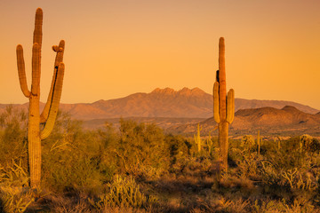 The Arizona desert mountains turn a deep reddish, orange and purple hue as the sun sets and the sky...