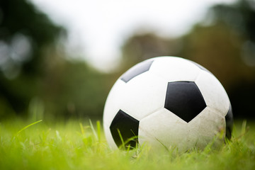 Fototapeta na wymiar soccer football on green grass