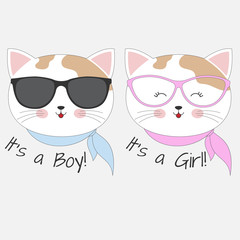 Fototapeta premium Lovely cats boy and girl in glasses isolated on white background.