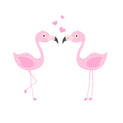 Fototapeta premium Pink flamingo couple in love. Exotic lovely birds.