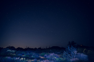 The desert at night shows starry skies and wilderness landscape east of Phoenix, Arizona. Light...