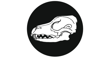 Wolfsschädel