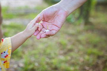 Asian little baby give flowers to mothers