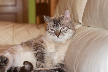 naturaleza historia españa siega verde 