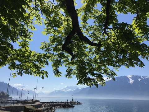 Spring on the lake