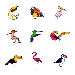 Birds are different species