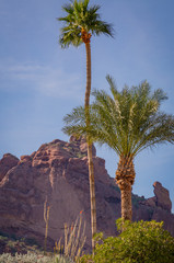 Fototapeta premium Landscape photos of the iconic 