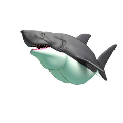 shark cartoon on white background