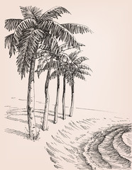 Palm trees on the beach drawing