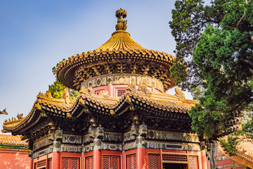 Ancient royal palaces of the Forbidden City in Beijing,China