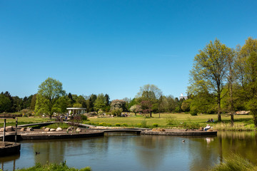 idyllic city park