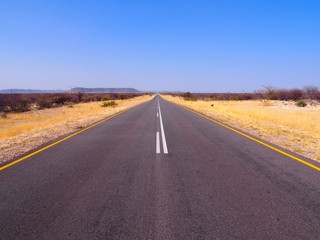 Fototapeta na wymiar Road Namibia