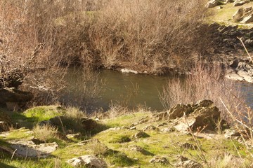 siega verde naturaleza 