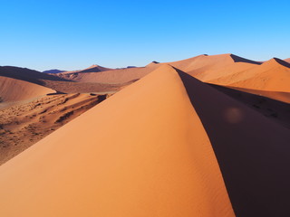 Fototapeta na wymiar Big daddy Namib desert