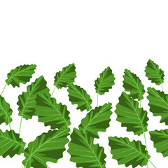 Fototapeta premium Seamless pattern with tropical leaves.