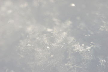 Obraz premium Snow close up.