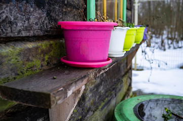 Multi-colored pots are on the shelf by the window of an old wooden shed, on a winter evening in a snow-covered garden in the village.