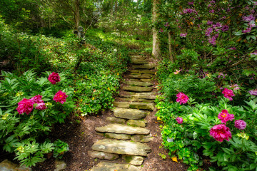 Stone stairs with rose