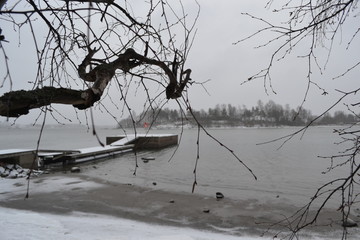 A tree branch. River. Pier. Winter
