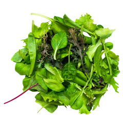 Cut out green vegetables and herbs. Salad mix with rucola, lettuce, shpinach isolated on white...