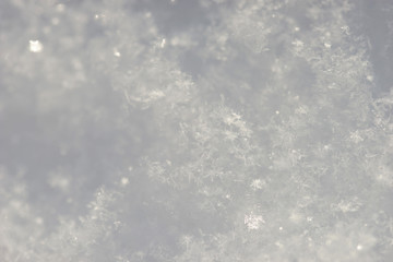 Snow close up.