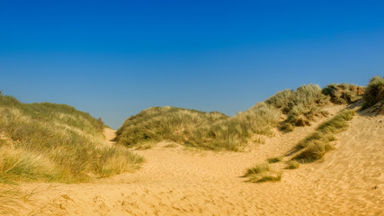 Close up on Camber Sands Beach dune, East Sussex, U.K