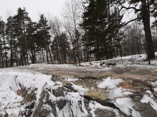 A rock. Snow. Forest