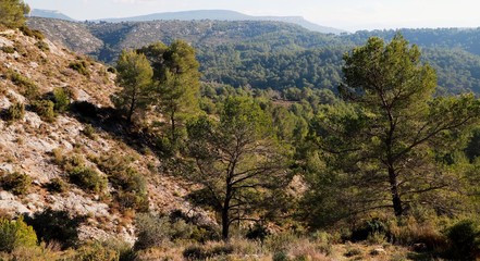 paysages de Cézanne