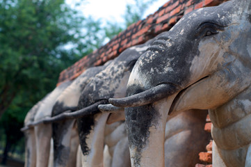 Elephants statues of Wat Chang Lom