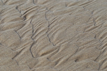 waves in the sand