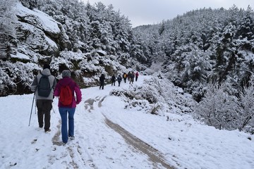 Hiking.Hiking winter.Snowy winter road. Beautiful winter landscape in the mountain forest.Group of people in the forest. Akcaova-Serefler -Cine.Turkey