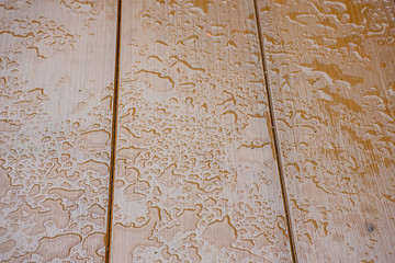 Raindrops on the plywood boards Brown