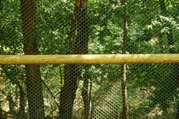 a long iron yellow gas pipe along a metal fence from a grid in a park near green vegetation