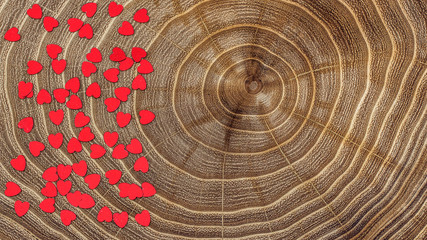 A lot of small hearts on the background sawn oak tree