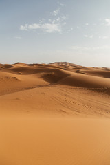 Fototapeta na wymiar sand dune in desert