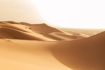 sand dunes in the desert
