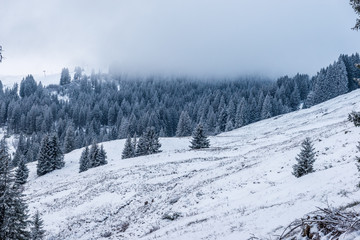 Fototapeta na wymiar snowy winter landscape in the Gurnigel Area, Berner Oberland