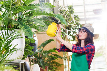 Floristin besprüht lächelnd die Pflanzen im Gewächshaus mit einer Pumpflasche