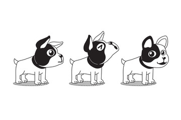 Vector cartoon character french bulldog poses for design.