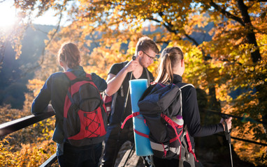 Fototapeta premium Trekking in forest, group of friends with backpacks