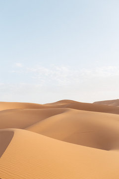 sand dunes in the desert
